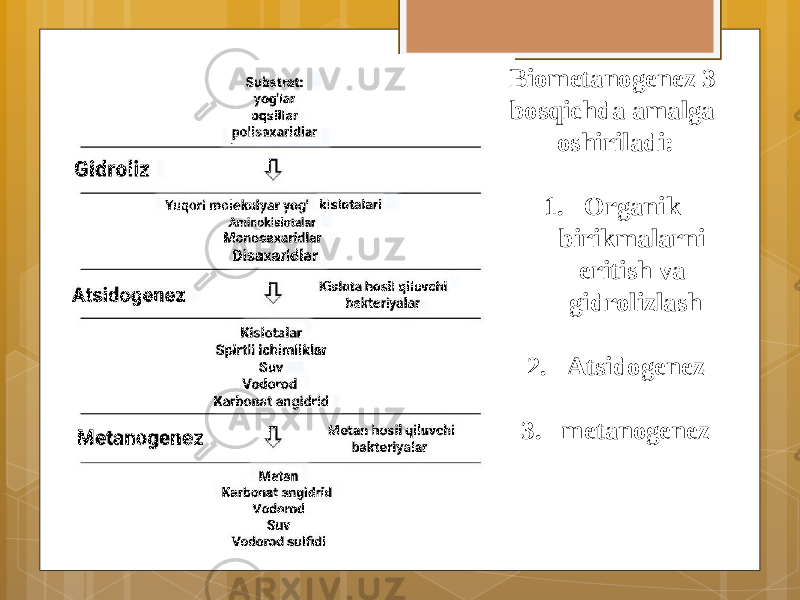 Biometanogenez 3 bosqichda amalga oshiriladi: 1. Organik birikmalarni eritish va gidrolizlash 2. Atsidogenez 3. metanogenez 