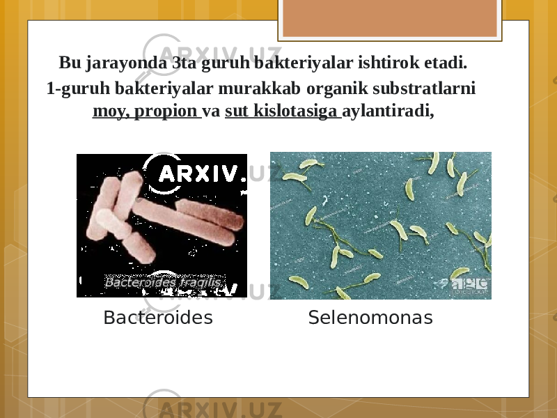 Bu jarayonda 3ta guruh bakteriyalar ishtirok etadi. 1-guruh bakteriyalar murakkab organik substratlarni moy, propion va sut kislotasiga aylantiradi, Bacteroides Selenomonas 