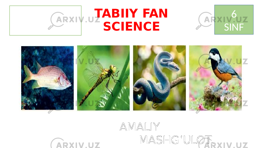 TABIIY FAN SCIENCE 6 SINF AMALIY MASHG‘ULOT. 