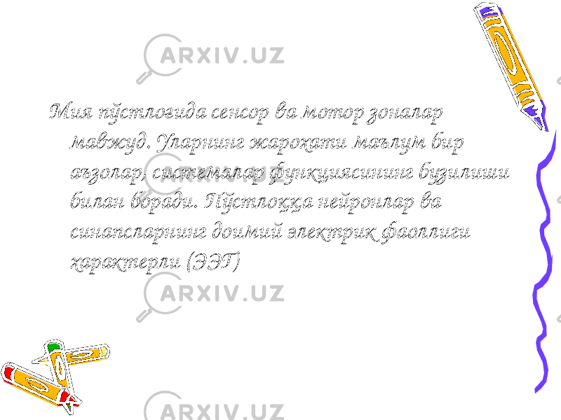 Мия пўстлоғида сенсор ва мотор зоналар мавжуд. Уларнинг жарохати маълум бир аъзолар, системалар функциясининг бузилиши билан боради. Пўстлоққа нейронлар ва синапсларнинг доимий электрик фаоллиги характерли (ЭЭГ) 