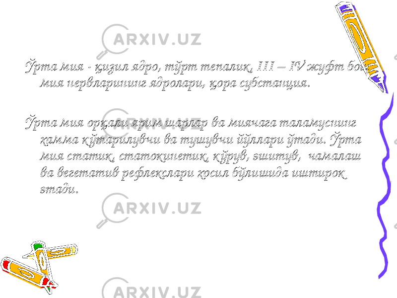 Ўрта мия - қизил ядро, тўрт тепалик, III – IV жуфт бош мия нервларининг ядролари, қора субстанция. Ўрта мия орқали ярим шарлар ва миячага таламуснинг хамма к ўтарилувчи ва тушувчи йўллари ўтади. Ўрта мия статик, статокинетик, к ўрув, эшитув, чамалаш ва вегетатив рефлекслари хосил бўлишида иштирок этади. 