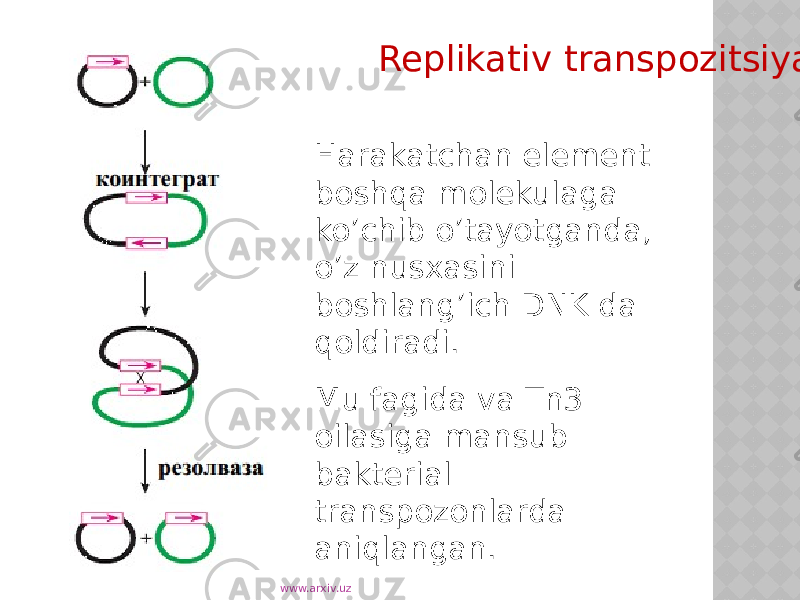 Replikativ transpozitsiya Harakatchan element boshqa molekulaga ko’chib o’tayotganda, o’z nusxasini boshlang’ich DNK da qoldiradi. Mu fagida va Tn3 oilasiga mansub bakterial transpozonlarda aniqlangan. www.arxiv.uz 