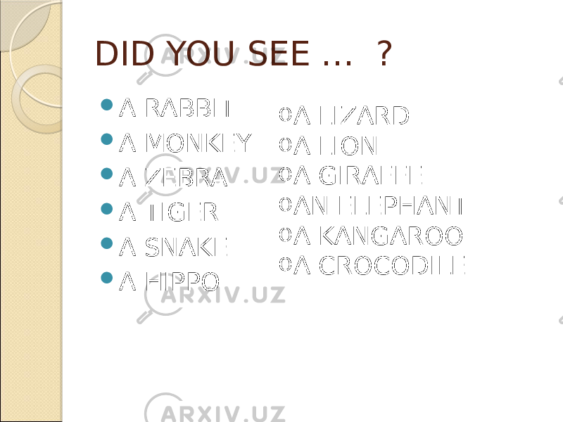 DID YOU SEE … ?  A RABBIT  A MONKEY  A ZEBRA  A TIGER  A SNAKE  A HIPPO o A LIZARD o A LION o A GIRAFFE o AN ELEPHANT o A KANGAROO o A CROCODILE 