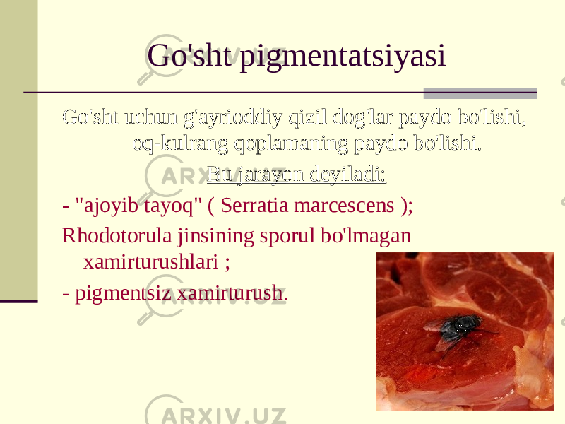 Go&#39;sht pigmentatsiyasi Go&#39;sht uchun g&#39;ayrioddiy qizil dog&#39;lar paydo bo&#39;lishi, oq-kulrang qoplamaning paydo bo&#39;lishi. Bu jarayon deyiladi: - &#34;ajoyib tayoq&#34; ( Serratia marcescens ); Rhodotorula jinsining sporul bo&#39;lmagan xamirturushlari ; - pigmentsiz xamirturush. 