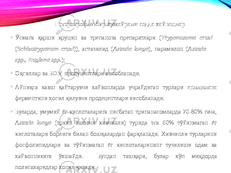  Гетеротрофли бир хужайрали содда хайвонлар • Ўсмага қарши круцин ва трепаноза препаратлари ( Trypanosoma cruzi ( Schizotrypanum cruzi )), астазилид ( Astasia longa ), парамилон ( Astasia spp., Euglena spp. ); • Оқсиллар ва БФМ продуцентлари хисобланади. • Айниқса кавш қайтарувчи ҳайвонларда учрайдиган турлари целлюлаза ферментини ҳосил қилувчи продецентлари хисобланади. • Буларда, умумий ёғ кислоталарига нисбатан трипанасомларда 70-80% гача, Astasia longa (эркин яшовчи хивчинли) турида эса 60% тўйинмаган ёғ кислоталари борлиги билан бошқалардан фарқланади. Хивчинли турларини фосфолипидлари ва тўйинмаган ёғ кислоталарининг тузилиши одам ва ҳайвонникига ўхшайди. Бундан ташқари, булар кўп миқдорда полисахаридлар ҳосил қилади. 