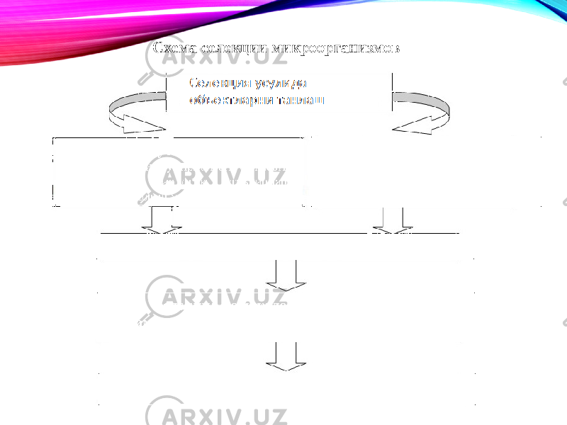  Схема селекции микроорганизмов 