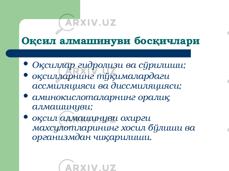 Оқсил алмашинуви босқичлари  Оқсиллар гидролизи ва сўрилиши;  оқсилларнинг тўқималардаги ассмиляцияси ва диссмиляцияси;  аминокислоталарнинг оралиқ алмашинуви;  оқсил алмашинуви охирги махсулотларининг хосил бўлиши ва организмдан чиқарилиши. 