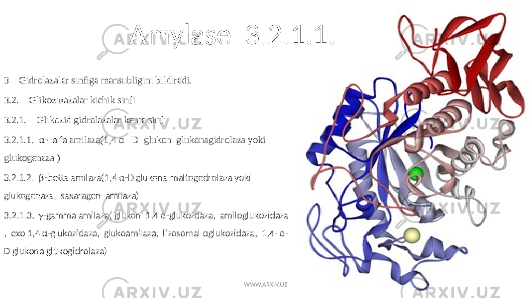 3 – Gidrolazalar sinfiga mansubligini bildiradi. 3.2. – Glikoziвazalar kichik sinfi 3.2.1. – Glikozid gidrolazalar kenja sinfi 3.2.1.1. α- alfa amilaza(1,4 α –D glukon glukonagidrolaza yoki glukogenaza ) 3.2.1.2. β-betta amilaza(1,4 α-D glukona maltogedrolaza yoki glukogenaza, saxaragen amilaza) 3.2.1.3. γ-gamma amilaza( glukon 1,4 α-glukozdaza, amiloglukozidaza , exo 1,4 α-glukozidaza, glukoamilaza, lizosomal αglukozidaza, 1,4- α- D glukona glukogidrolaza) Amylase 3.2.1.1. WWW.ARXIV.UZ 