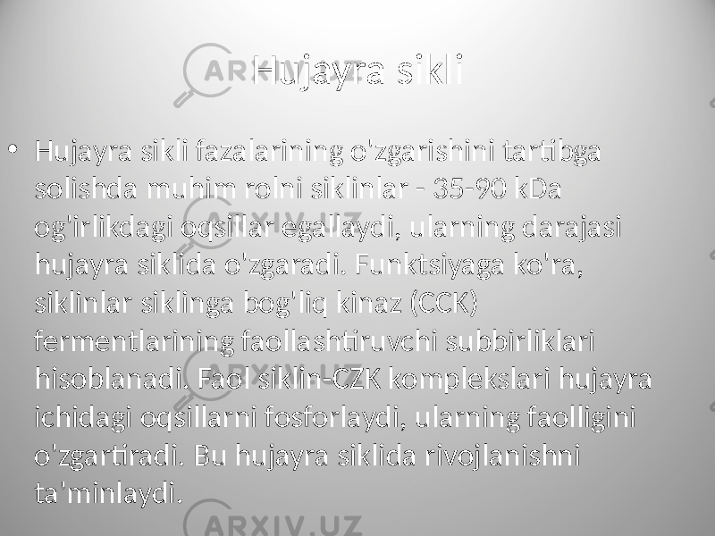 Hujayra sikli • Hujayra sikli fazalarining o&#39;zgarishini tartibga solishda muhim rolni siklinlar - 35-90 kDa og&#39;irlikdagi oqsillar egallaydi, ularning darajasi hujayra siklida o&#39;zgaradi. Funktsiyaga ko&#39;ra, siklinlar siklinga bog&#39;liq kinaz (CCK) fermentlarining faollashtiruvchi subbirliklari hisoblanadi. Faol siklin-CZK komplekslari hujayra ichidagi oqsillarni fosforlaydi, ularning faolligini o&#39;zgartiradi. Bu hujayra siklida rivojlanishni ta&#39;minlaydi. 