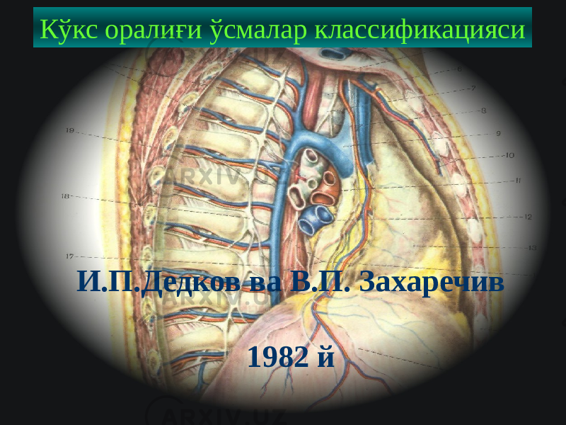 29Кўкс оралиғи ўсмалар классификацияси И.П.Дедков ва В.П. Захаречив 1982 й 