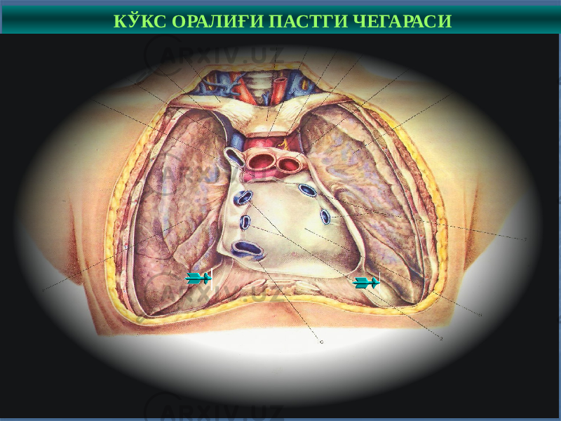 4КЎКС ОРАЛИҒИ ПАСТГИ ЧЕГАРАСИ 