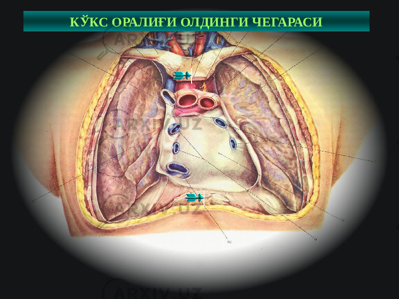 5КЎКС ОРАЛИҒИ ОЛДИНГИ ЧЕГАРАСИ 