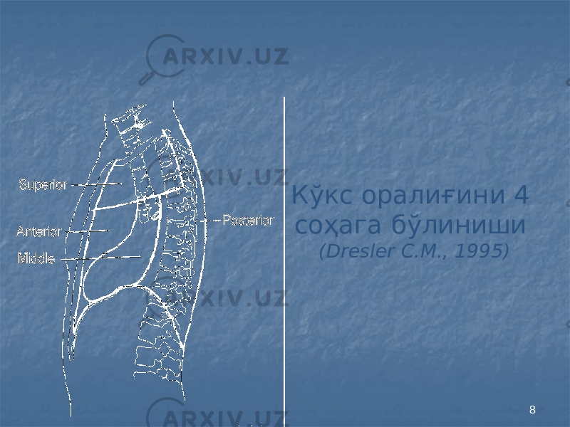 8Кўкс оралиғини 4 соҳага бўлиниши (Dresler C.M., 1995) 