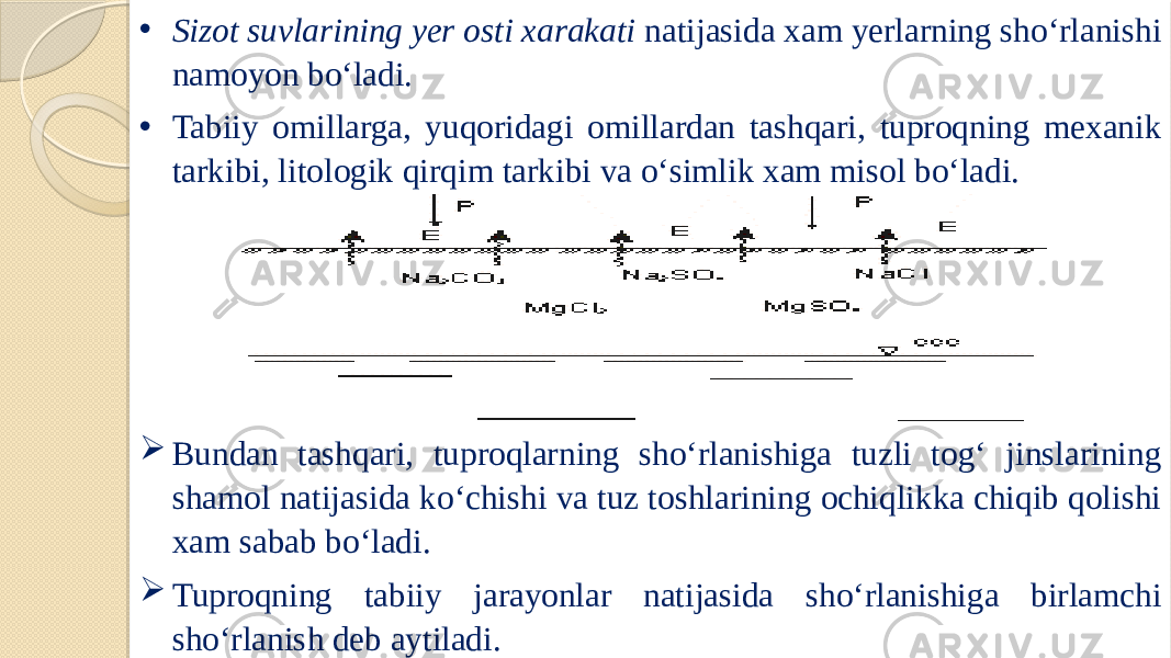 • Sizot suvlarining yer osti xarakati natijasida xam yerlarning sho‘rlanishi namoyon bo‘ladi. • Tabiiy omillarga, yuqoridagi omillardan tashqari, tuproqning mexanik tarkibi, litologik qirqim tarkibi va o‘simlik xam misol bo‘ladi.  Bundan tashqari, tuproqlarning sho‘rlanishiga tuzli tog‘ jinslarining shamol natijasida ko‘chishi va tuz toshlarining ochiqlikka chiqib qolishi xam sabab bo‘ladi.  Tuproqning tabiiy jarayonlar natijasida sho‘rlanishiga birlamchi sho‘rlanish deb aytiladi. 