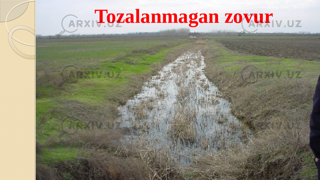 Tozalanmagan zovur 