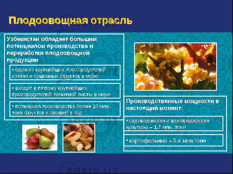 Производственные мощности в Производственные мощности в настоящий момент:настоящий момент:Узбекистан обладает большим Узбекистан обладает большим потенциалом производства и потенциалом производства и переработки плодоовощной переработки плодоовощной продукциипродукции • один из крупнейших производителей один из крупнейших производителей изюма и сушенных фруктов в миреизюма и сушенных фруктов в мире • входит в пятерку крупнейших входит в пятерку крупнейших производителей томатной пасты в мирепроизводителей томатной пасты в мире • потенциал производства более 10 млнпотенциал производства более 10 млн .. тоннтонн фруктов и овощей в годфруктов и овощей в год • садоводческая и виноградарская садоводческая и виноградарская культуры культуры – – 1,71,7 млнмлн .. тонн тонн • картофельныекартофельные – – 5,5, 44 млн.тонн млн.тоннПлодоовощная отрасльПлодоовощная отрасль 