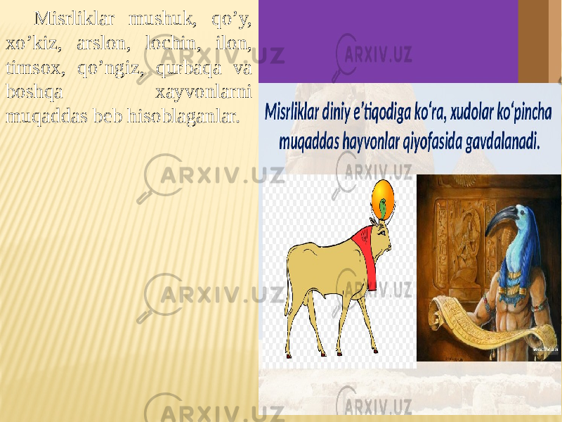Misrliklar mushuk, qo’y, xo’kiz, arslon, lochin, ilon, timsox, qo’ngiz, qurbaqa va boshqa xayvonlarni muqaddas beb hisoblaganlar. 