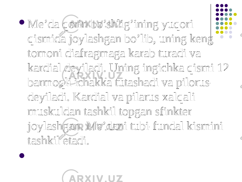  Me’da qorin bo’shlig’ining yuqori qismida joylashgan bo’lib, uning keng tomoni diafragmaga karab turadi va kardial deyiladi. Uning ingichka qismi 12 barmoqli ichakka tutashadi va pilorus- deyiladi. Kardial va pilarus xalqali muskuldan tashkil topgan sfinkter joylashgan. Me’dani tubi-fundal kismini tashkil etadi.    