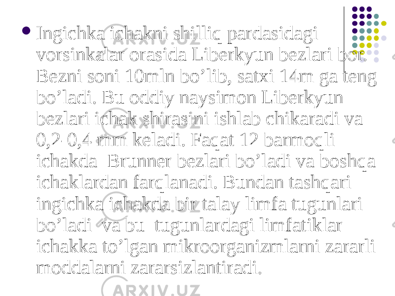  Ingichka ichakni shilliq pardasidagi vorsinkalar orasida Liberkyun bezlari bor. Bezni soni 10mln bo’lib, satxi 14m ga teng bo’ladi. Bu oddiy naysimon Liberkyun bezlari ichak shirasini ishlab chikaradi va 0,2-0,4 mm keladi. Faqat 12 barmoqli ichakda Brunner bezlari bo’ladi va boshqa ichaklardan farqlanadi. Bundan tashqari ingichka ichakda bir talay limfa tugunlari bo’ladi va bu tugunlardagi limfatiklar ichakka to’lgan mikroorganizmlarni zararli moddalarni zararsizlantiradi. 