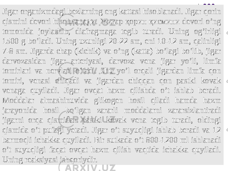 Jigar organizmdagi bezlarning eng kattasi hisoblanadi. Jigar qorin qismini devоri hisobланади. Жигар қорин қисмини devori o’ng tomonida joylashib, diafragmaga tegib turadi. Uning og’irligi 1500 g bo‘ladi. Uning uzunligi 20-22 sm, eni 10-12 sm, qalinligi 7-8 sm. Jigarda chap (kichik) va o’ng (katta) bo’lagi bo‘lib, jigar darvozasidan jigar arteriyasi, darvoza vena jigar yo’li, limfa tomirlari va nervlari o‘tadi. Shu yo’l orqali jigardan limfa qon tomiri, venasi chiqadi va jigardan chiqqan qon pastki kovak venaga quyiladi. Jigar ovqat hazm qilishda o’t ishlab beradi. Moddalar almashinuvida glikogen hosil qiladi hamda hazm jarayonida hosil bo‘lgan zararli moddalarni zararsizlantiradi jigarni orqa qismidan pastki kovak vena tegib turadi, oldingi qismida o’t pufagi yetadi. Jigar o’t suyuqligi ishlab beradi va 12 barmoqli ichakka quyiladi. Bir sutkada o’t 800-1200 ml ishlanadi o’t suyuqligi faqat ovqat hazm qilish vaqtida ichakka quyiladi. Uning reaksiyasi ishqoriydir. 