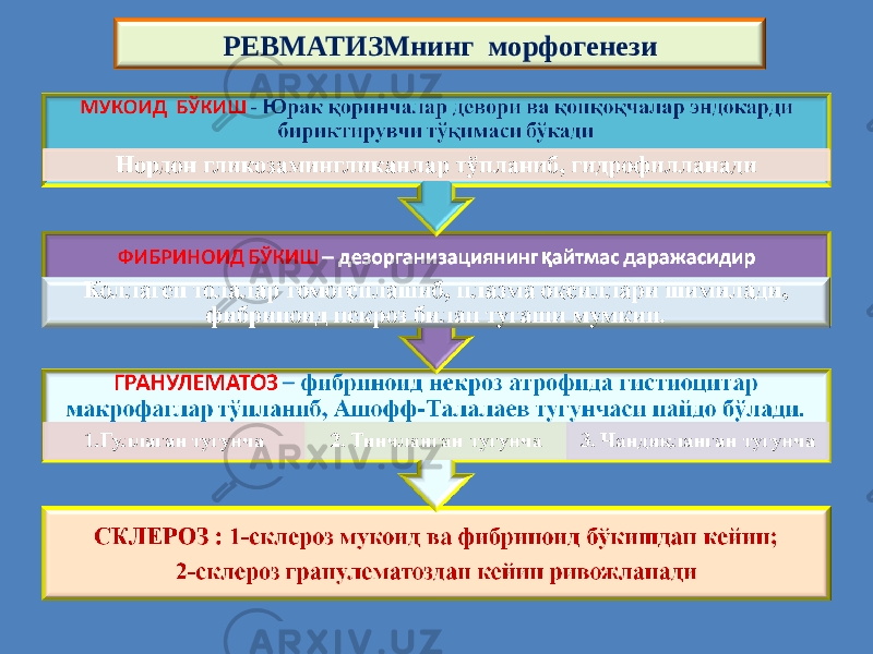 РЕВМАТИЗМнинг морфогенези 