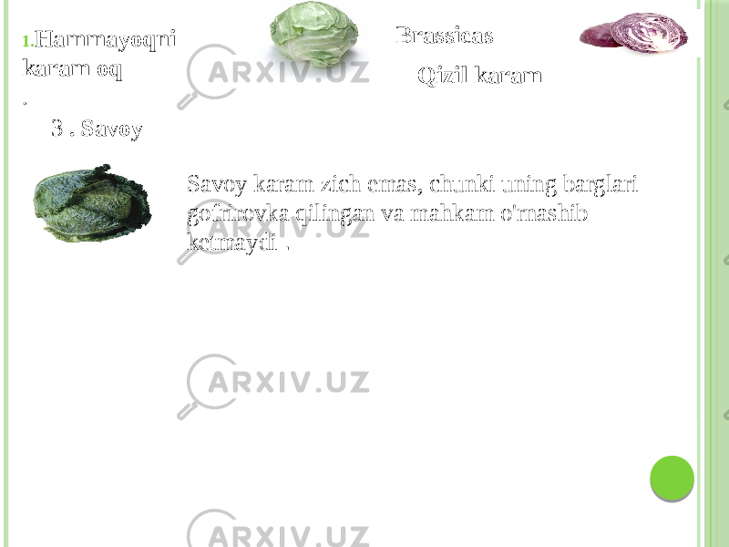 1. Hammayoqni karam oq . Savoy karam zich emas, chunki uning barglari gofrirovka qilingan va mahkam o&#39;rnashib ketmaydi .3 . Savoy Qizil karamBrassicas 