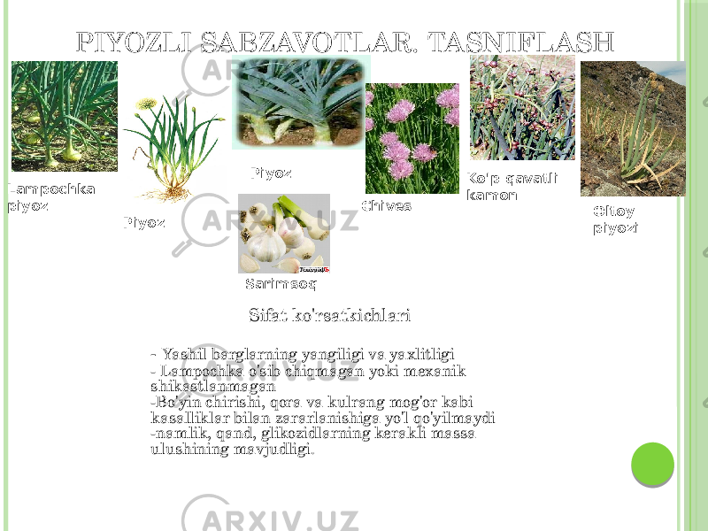 PIYOZLI SABZAVOTLAR. TASNIFLASH Lampochka piyoz Piyoz Piyoz Chives Ko&#39;p qavatli kamon Oltoy piyozi Sarimsoq Sifat ko&#39;rsatkichlari - Yashil barglarning yangiligi va yaxlitligi - Lampochka o&#39;sib chiqmagan yoki mexanik shikastlanmagan -Bo&#39;yin chirishi, qora va kulrang mog&#39;or kabi kasalliklar bilan zararlanishiga yo&#39;l qo&#39;yilmaydi -namlik, qand, glikozidlarning kerakli massa ulushining mavjudligi. 