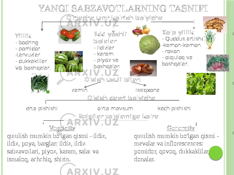 YANGI SABZAVOTLARNING TASNIFI Yillik - bodring - pomidor -tarvuzlar - dukkaklilar va boshqalar. Ikki yoshli bolalar - ildizlar - karam - piyoz va boshqalar. Ko&#39;p yillik - Quddus artishokasi -kamon-kamon - rovon - otquloq va boshqalar. zamin issiqxona erta pishishi o&#39;rta mavsum kech pishishi Vegetativ qutulish mumkin bo&#39;lgan qismi - ildiz, ildiz, poya, barglar: ildiz, ildiz sabzavotlari, piyoz, karam, salat va ismaloq, achchiq, shirin. Generativ qutulish mumkin bo&#39;lgan qismi - mevalar va inflorescences: pomidor, qovoq, dukkaklilar, donalar.O&#39;rtacha umr ko&#39;rish bo&#39;yicha O&#39;sish usuli bilan O&#39;sish davri bo&#39;yicha Belgilar to&#39;plamiga ko&#39;ra 