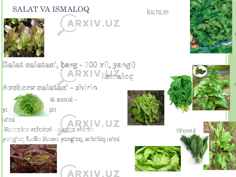 SALAT VA ISMALOQ Salat salatasi, barg - 100 xil, yangi) Ismaloq Aysberg salatasi - shirin Rukkola xantal - yong&#39;oq va qalampir ta&#39;mi Romaine salatasi - ozgina shirin yong&#39;oq Lollo Rosso yong&#39;oq, achchiq ta&#39;mi karam Shovul 