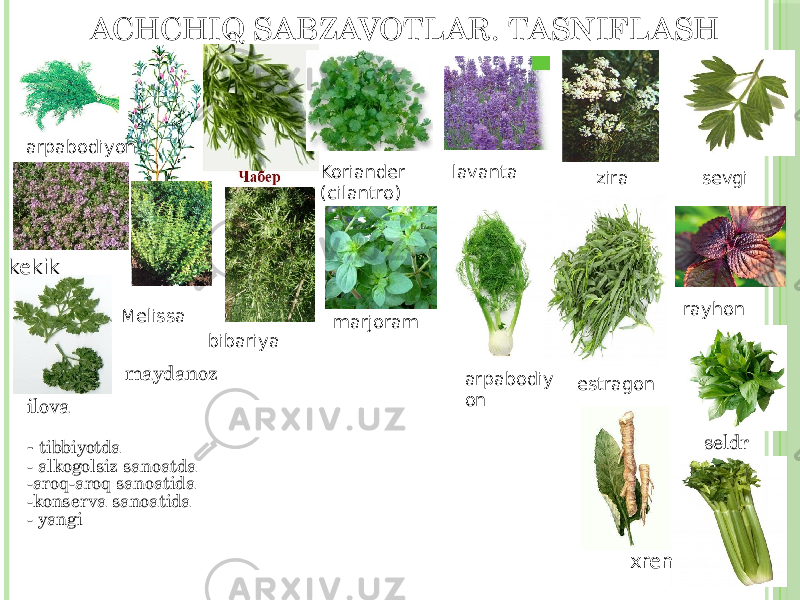 ACHCHIQ SABZAVOTLAR. TASNIFLASH arpabodiyon Koriander (cilantro) lavanta zira sevgi kekik Melissa bibariya marjoram arpabodiy on estragon rayhon ilova - tibbiyotda - alkogolsiz sanoatda -aroq-aroq sanoatida -konserva sanoatida - yangi maydanoz seldr xren 