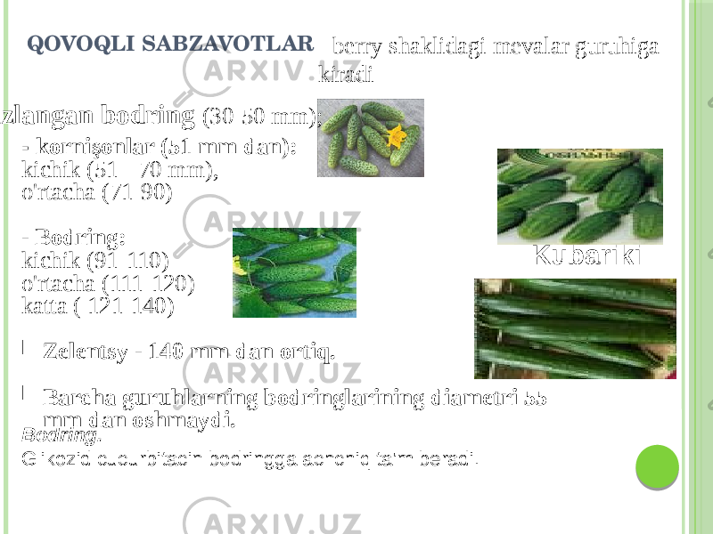 QOVOQLI SABZAVOTLAR - kornişonlar (51 mm dan): kichik (51 - 70 mm), o&#39;rtacha (71-90) - Bodring: kichik (91-110) o&#39;rtacha (111-120) katta ( 121-140)  Zelentsy - 140 mm dan ortiq.  Barcha guruhlarning bodringlarining diametri 55 mm dan oshmaydi. Kubariki Bodring. Glikozid cucurbitacin bodringga achchiq ta&#39;m beradi.  Tuzlangan bodring (30-50 mm); - berry shaklidagi mevalar guruhiga kiradi 