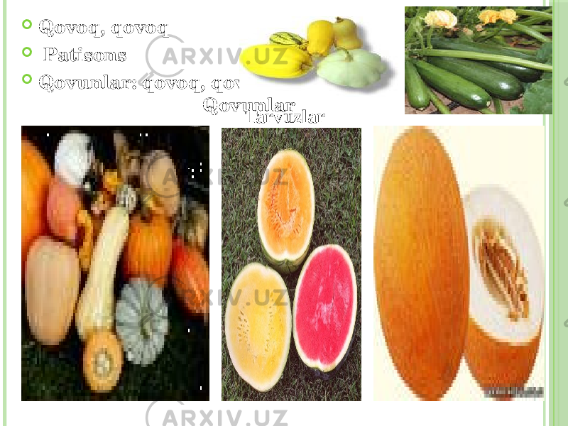  Qovoq, qovoq  Patisons  Qovunlar: qovoq, qovun Qovunlar Tarvuzlar 