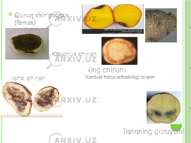  Quruq chiriyotgan (fomoz) Kauchuk chirish Ichki chirish Ring chirishi Kambial halqa sohasidagi lezyon Tananing qorayishi 