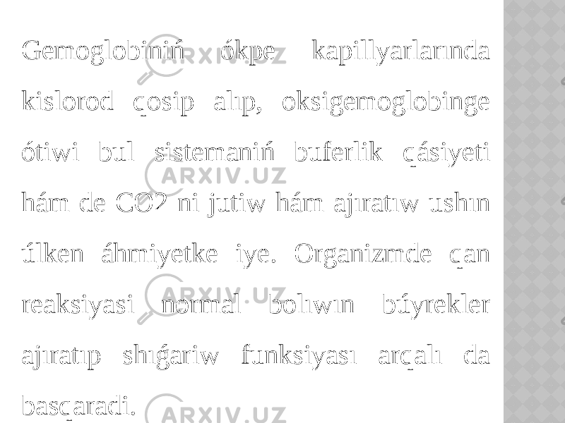 Gemoglobiniń ókpe kapillyarlarında kislorod qosip alıp, oksigemoglobinge ótiwi bul sistemaniń buferlik qásiyeti hám de CO2 ni jutiw hám ajıratıw ushın úlken áhmiyetke iye. Organizmde qan reaksiyasi normal bolıwın búyrekler ajıratıp shıǵariw funksiyası arqalı da basqaradi. 