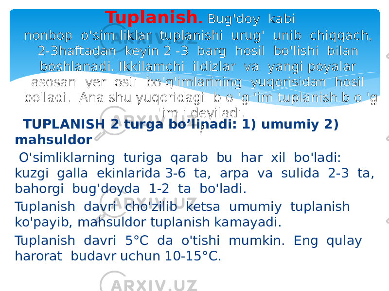  TUPLANISH 2 turga bo’linadi: 1) umumiy 2) mahsuldor O&#39;simliklarning turiga qarab bu har xil bo&#39;ladi: kuzgi galla ekinlarida 3-6 ta, arpa va sulida 2-3 ta, bahorgi bug&#39;doyda 1-2 ta bo&#39;ladi. Tuplanish davri cho&#39;zilib ketsa umumiy tuplanish ko&#39;payib, mahsuldor tuplanish kamayadi. Tuplanish davri 5°C da o&#39;tishi mumkin. Eng qulay harorat budavr uchun 10-15°C. Tuplanish . Bug&#39;doy kabi nonbop o&#39;sim liklar tuplanishi urug&#39; unib chiqqach, 2-3haftadan keyin 2 -3 barg hosil bo&#39;lishi bilan boshlanadi. Ikkilamchi ildizlar va yangi poyalar asosan yer osti bo&#39;g&#39;imlarining yuqorisidan hosil bo&#39;ladi. Ana shu yuqoridagi b o &#39;g &#39;im tuplanish b o &#39;g &#39;im i deyiladi. / 