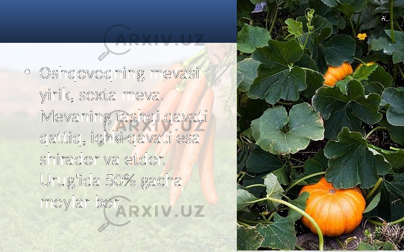 • Oshqovoqning mevasi yirik, soxta meva. Mevaning tashqi qavati qattiq, ichki qavati esa shirador va etdor. Urug&#39;ida 50% gacha moylar bor. 