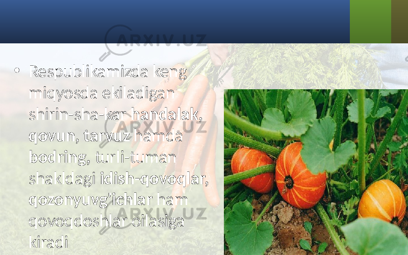 • Respublikamizda keng miqyosda ekiladigan shirin-sha-kar handalak, qovun, tarvuz hamda bodring, turli-tuman shakldagi idish-qovoqlar, qozonyuvg&#39;ichlar ham qovoqdoshlar oilasiga kiradi 