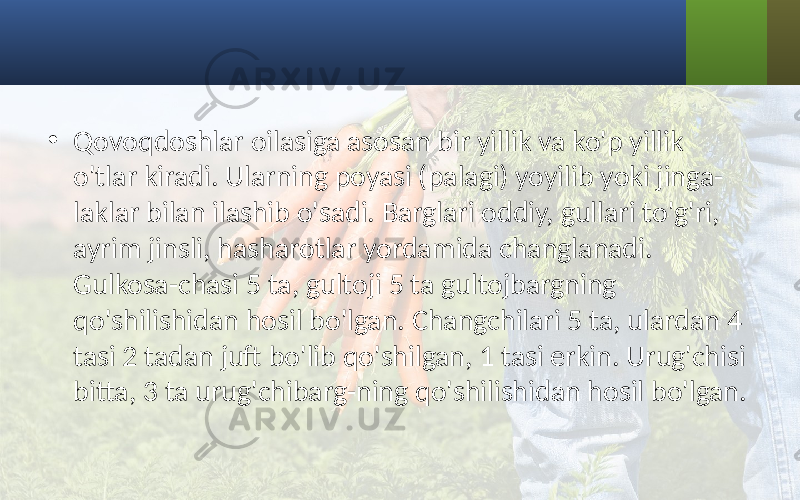 • Qovoqdoshlar oilasiga asosan bir yillik va ko&#39;p yillik o&#39;tlar kiradi. Ularning poyasi (palagi) yoyilib yoki jinga- laklar bilan ilashib o&#39;sadi. Barglari oddiy, gullari to&#39;g&#39;ri, ayrim jinsli, hasharotlar yordamida changlanadi. Gulkosa-chasi 5 ta, gultoji 5 ta gultojbargning qo&#39;shilishidan hosil bo&#39;lgan. Changchilari 5 ta, ulardan 4 tasi 2 tadan juft bo&#39;lib qo&#39;shilgan, 1 tasi erkin. Urug&#39;chisi bitta, 3 ta urug&#39;chibarg-ning qo&#39;shilishidan hosil bo&#39;lgan. 