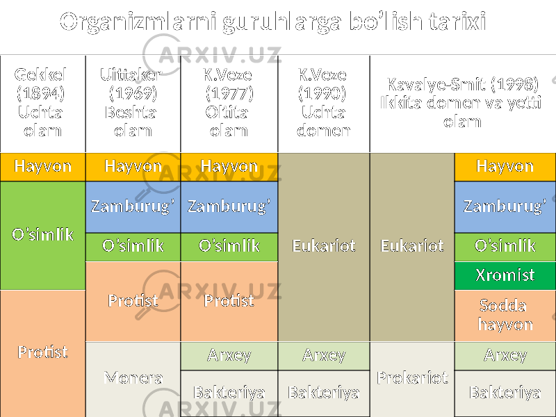 Organizmlarni guruhlarga bo’lish tarixi Gekkel (1894) Uchta olam Uittaker (1969) Beshta olam K.Veze (1977) Oltita olam K.Veze (1990) Uchta domen Kavalye-Smit (1998) Ikkita domen va yetti olam Hayvon Hayvon Hayvon Eukariot Eukariot Hayvon O’simlik Zamburug’ Zamburug’ Zamburug’ O’simlik O’simlik O’simlik Protist Protist Xromist Protist Sodda hayvon Monera Arxey Arxey Prokariot Arxey Bakteriya Bakteriya Bakteriya 