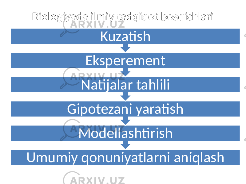 Biologiyada ilmiy tadqiqot bosqichlari Umumiy qonuniyatlarni aniqlash ModellashtirishGipotezani yaratish Natijalar tahlili Eksperement Kuzatish 