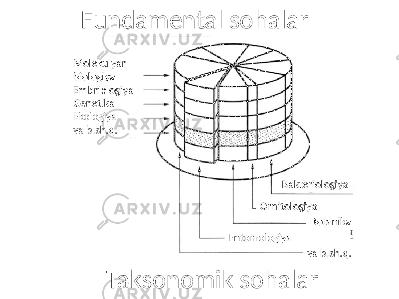 Molekulyar biologiya Embriologiya Genetika Ekologiya va b.sh.q. Bakteriologiya Ornitologiya Botanika Entomologiya va b.sh.q.Fundamental sohalar Taksonomik sohalar 