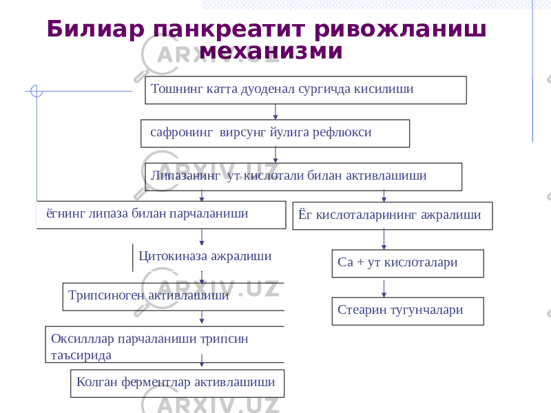 Билиар панкреатит ривожланиш механизми сафронинг вирсунг йулига рефлюкси Липазанинг ут кислотали билан активлашиши ёгнинг липаза билан парчаланиши Цитокиназа ажралиши Ёг кислоталарининг ажралиши Трипсиноген активлашиши Оксилллар парчаланиши трипсин таъсирида Колган ферментлар активлашиши Ca + ут кислоталари Стеарин тугунчалариТошнинг катта дуоденал сургичда кисилиши 