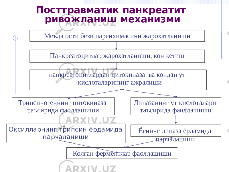 Посттравматик панкреатит ривожланиш механизми Меъда ости бези паренхимасини жарохатланиши Панкреатоцитлар жарохатланиши, кон кетиш панкреатоцитлардан цитокиназа ва кондан ут кислоталарининг ажралиши Оксилларнинг трипсин ёрдамида парчаланиши Колган ферментлар фаоллашиши Липазанинг ут кислоталари таъсирида фаоллашиши Ёгнинг липаза ёрдамида парчаланиши Трипсиногеннинг цитокиназа таъсирида фаоллашиши 