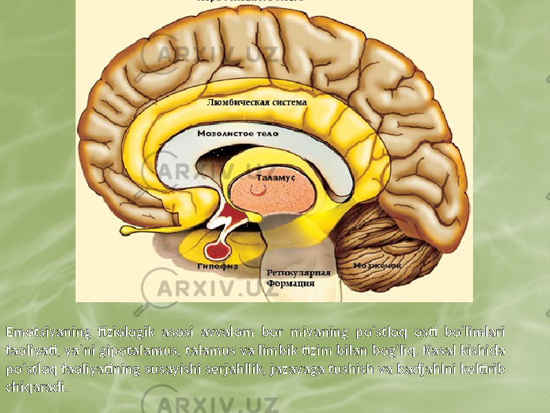 Emotsiyaning fiziologik asosi avvalom bor miyaning poʼstloq osti boʼlimlari faoliyati, yaʼni gipotalamus, talamus va limbik tizim bilan bogʼliq. Kasal kishida poʼstloq faoliyatining susayishi serjahllik, jazavaga tushish va badjahlni keltirib chiqaradi. 