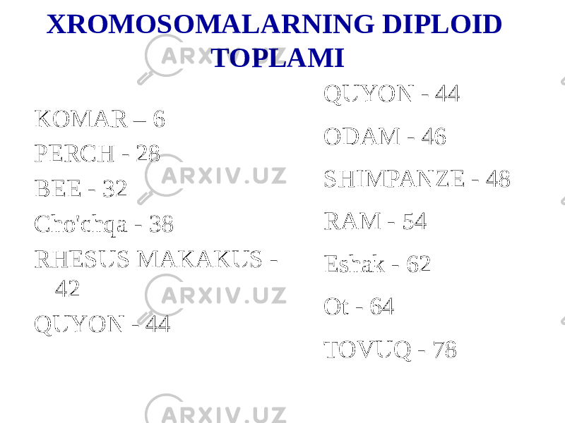 XROMOSOMALARNING DIPLOID TOPLAMI KOMAR – 6 PERCH - 28 BEE - 32 Cho&#39;chqa - 38 RHESUS MAKAKUS - 42 QUYON - 44 QUYON - 44 ODAM - 46 SHIMPANZE - 48 RAM - 54 Eshak - 62 Ot - 64 TOVUQ - 78 