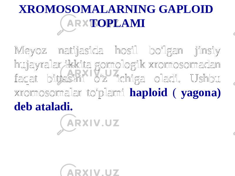 XROMOSOMALARNING GAPLOID TOPLAMI Meyoz natijasida hosil bo&#39;lgan jinsiy hujayralar ikkita gomologik xromosomadan faqat bittasini o&#39;z ichiga oladi. Ushbu xromosomalar to&#39;plami haploid ( yagona) deb ataladi. 