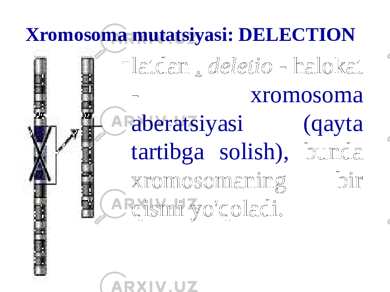 Xromosoma mutatsiyasi: DELECTION - latdan . deletio - halokat - xromosoma aberatsiyasi (qayta tartibga solish), bunda xromosomaning bir qismi yo&#39;qoladi. 