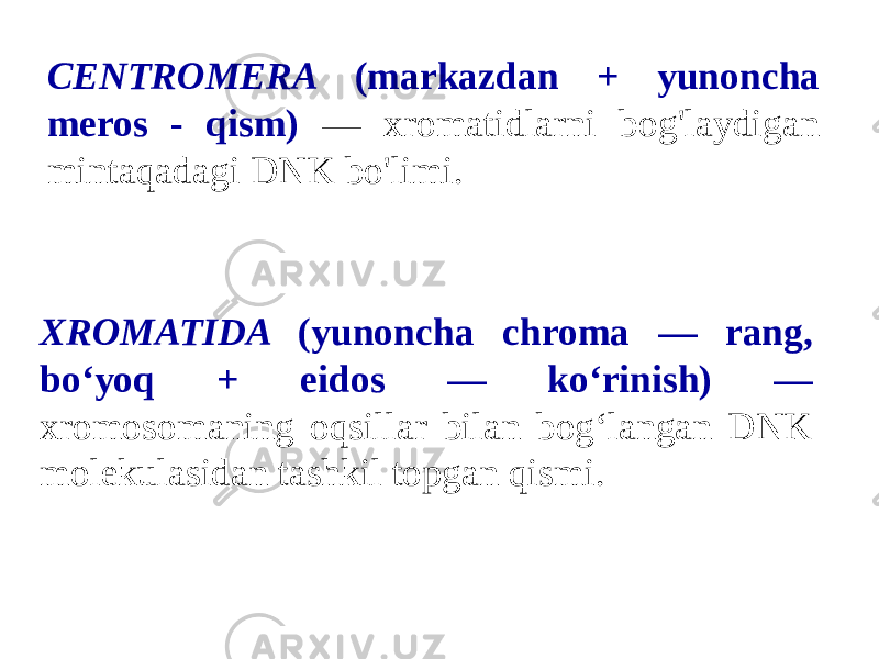 CENTROMERA (markazdan + yunoncha meros - qism) — xromatidlarni bog&#39;laydigan mintaqadagi DNK bo&#39;limi. XROMATIDA (yunoncha chroma — rang, boʻyoq + eidos — koʻrinish) — xromosomaning oqsillar bilan bogʻlangan DNK molekulasidan tashkil topgan qismi. 