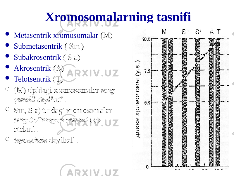 Xromosomalarning tasnifi  Metasentrik xromosomalar (M)  Submetasentrik ( Sm )  Subakrosentrik ( S a)  Akrosentrik (A)  Telotsentrik (T)  (M) tipidagi xromosomalar teng qurolli deyiladi .  Sm, S a) turdagi xromosomalar teng bo&#39;lmagan qurolli deb ataladi .  tayoqchali deyiladi . 