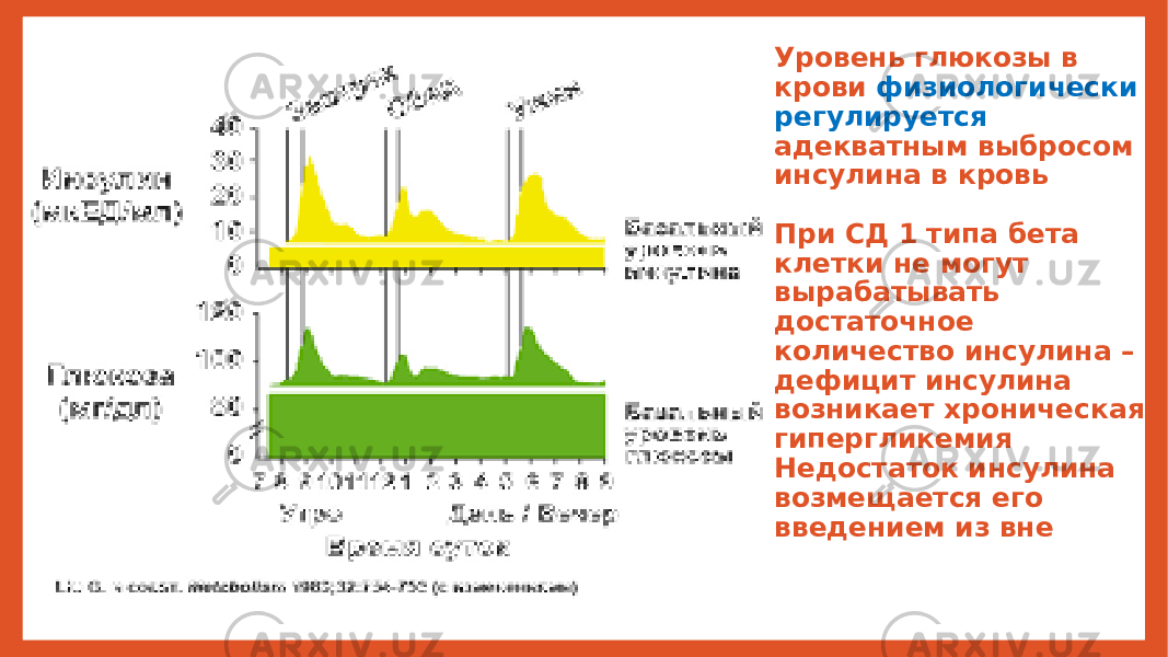 Уровень глюкозы в крови физиологически регулируется адекватным выбросом инсулина в кровь При СД 1 типа бета клетки не могут вырабатывать достаточное количество инсулина – дефицит инсулина возникает хроническая гипергликемия Недостаток инсулина возмещается его введением из вне 